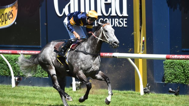 Dwayne Dunn, riding Chautauqua, finishes third in the Rubiton Stakes at Caulfield on Saturday. 
