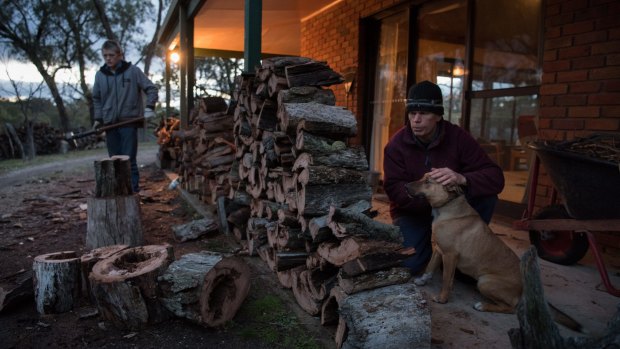 Micah Jamieson splits firewood with Rob Jamieson as Banjo the dog watches on near Bathurst.