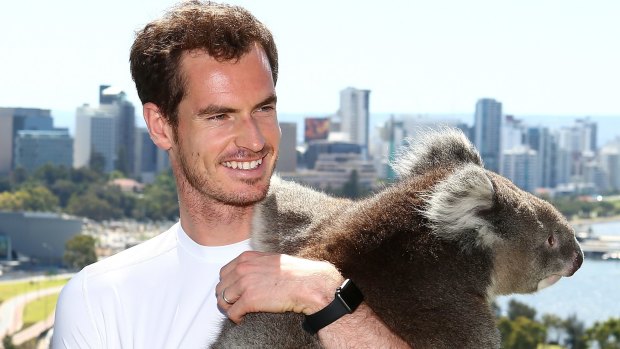 Andy Murray with Sunshine the koala.