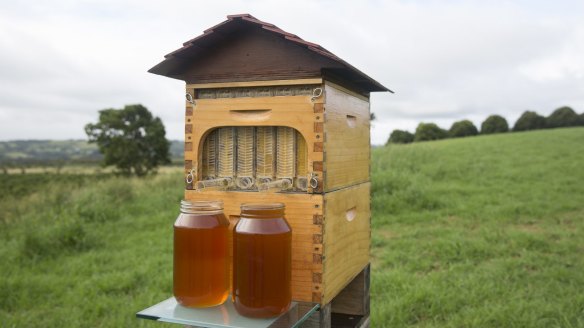 The Flow Hive raised more than $13 million in crowdfunding.