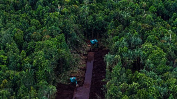 Forest being cleared on Padang Island in May 2014 by the local subsidiary of APRIL.