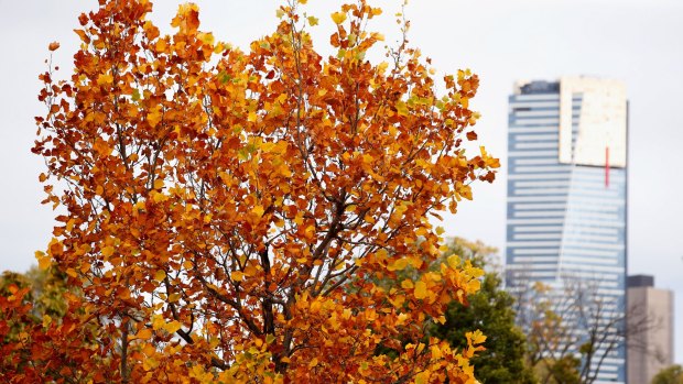 The autumn warmth will give way to a mild weekend and possibly rain.