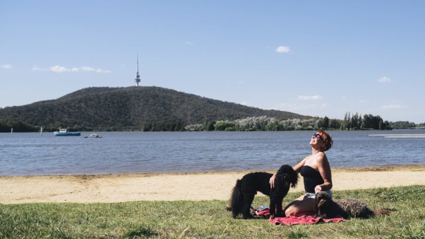 Eileen Chappell, from Deakin, with her dogs Mia and Louis by Lake Burley Griffin.