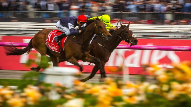 Almandin and Heartbreak City charge neck and neck to the finish in last year's Melbourne Cup.