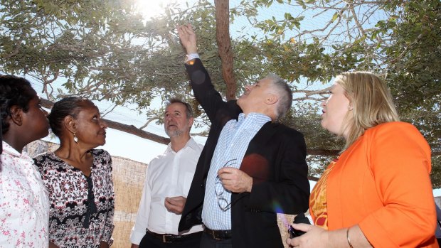 Mr Turnbull sniffed crushed melaleuca leaves at the suggestion of traditional owner Raylene Singh at the handover, with senator Nigel Scullion and MP Natasha Griggs (right). 
