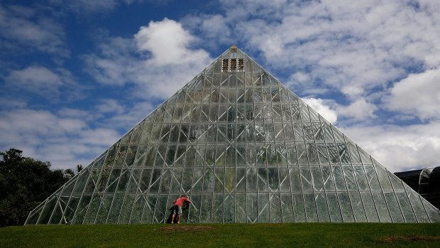 The iconic glass pyramid in Sydney's Royal Botanic Gardens is soon be dismantled. 