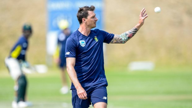Veteran quick: Dale Steyn, at 33, is still running in hard and bowling outswing with control and venom. 