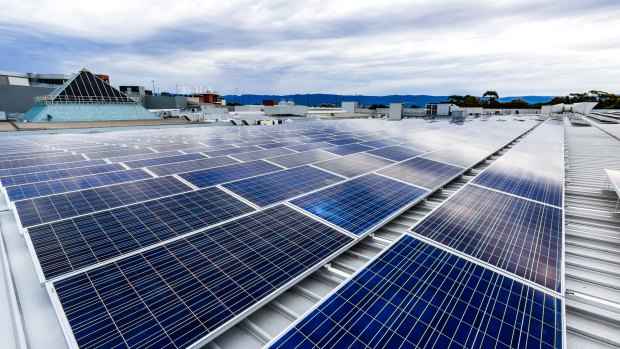 Solar panels at Shellharbour in NSW: the rollout is accelerating as businesses try to keep a lid on energy prices.