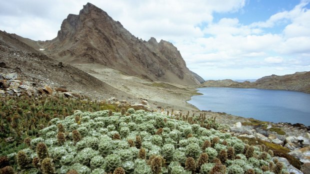 The dramatic pinnacles of the highest of the Dientes massif. 