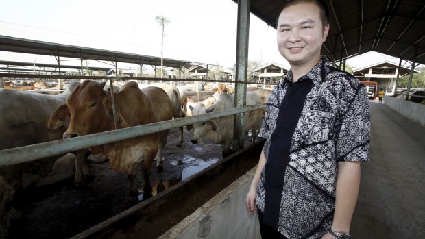 Wilson Hasan from PT Tanjung Unggul Mandiri at the feedlot in Tangerang.