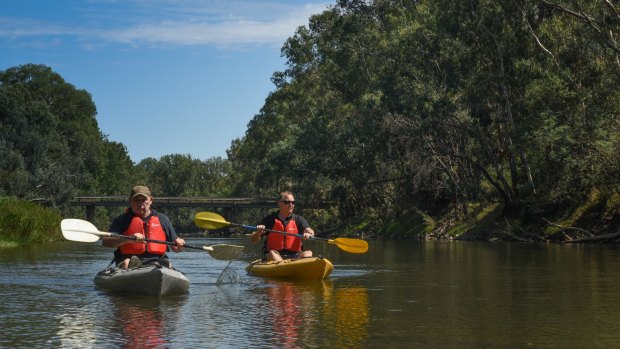 Explore the Ovens River by canoe.