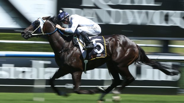 Back on track: Randwick is once again a course you can trust.