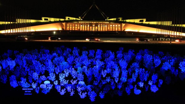 Coral reef cutouts were placed on the Parliament House lawn by Greenpeace Australia Pacific activists.