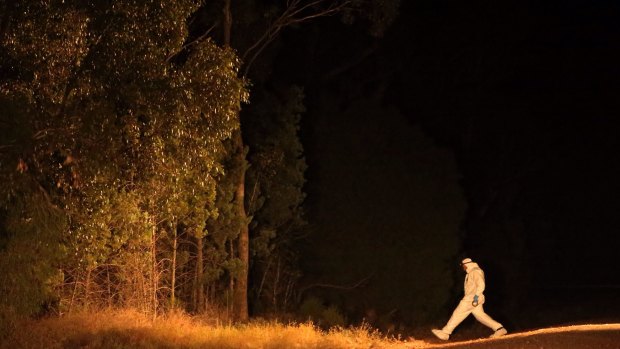 A forensic officer walks into Cocoparra National Park, where Stephanie Scott's body was found.