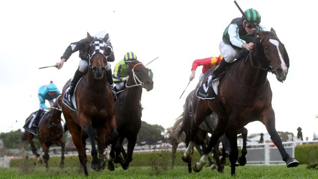 Striding away: Tye Angland rides Hooked to win the Tramway Stakes at Randwick earlier this month.