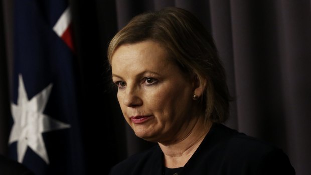 Health Minister Sussan Ley has a lot on her plate.