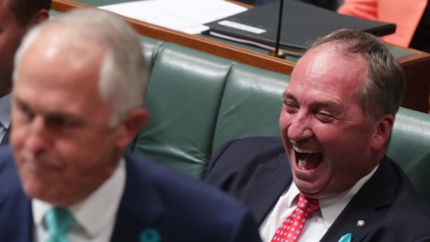 Deputy Prime Minister Barnaby Joyce with Prime Minister Malcolm Turnbull during question time on Wednesday.