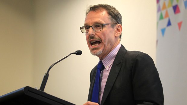 NSW Greens MP John Kaye fears the decision to dump the position of parliamentary secretary leaves the Baird government with no unique voice for renewable energy. 