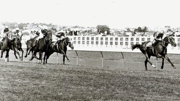 Just A Dash wins the Melbourne Cup in 1981.