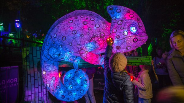 The large-scale chameleon lantern by Ample Projects has been brought to Canberra by Canberra Centre as part of Enlighten.