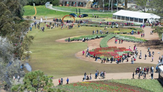 Floriade 2016 from the air. The portable flower beds are arranged in the shape of a tulip but critics said there were fewer of them.