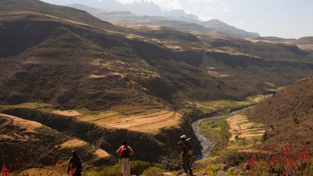 Hikers above the Mesheba valley in the Simien Mountains.