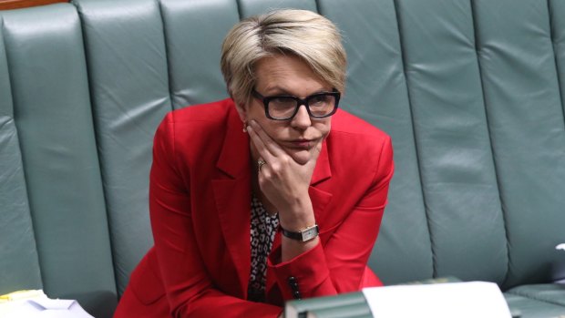 Tanya Plibersek's stance on a binding vote for Labor MPs on same-sex marriage did her untold damage.