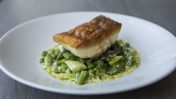 Coral trout is served crisp-skinned atop peas and asparagus.