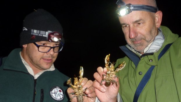 Matt Beitzel (left) and Mark Jekabsons compare their Rieki crayfish specimens.