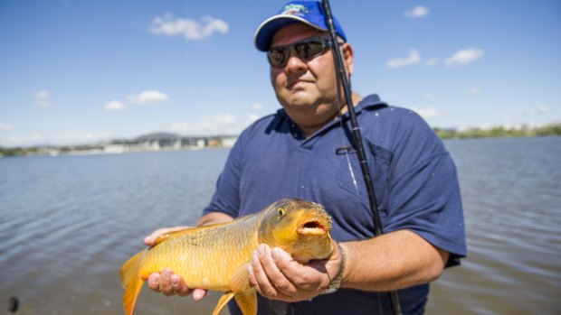 Success: Charlie Diedo catches carp from Lake Burley Griffin.