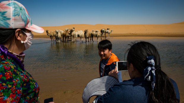 Tourists pose with camels in the Tengger Desert, one of three deserts  gradually forming a vast sea of sand in northern China.