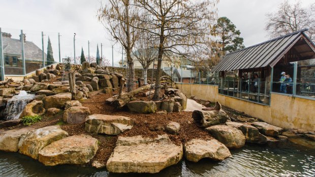 City Park is home to Japanese snow monkeys in an enclosure complete with caves, climb-and-play features, and a moat. 