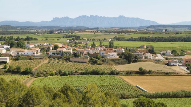 Absurdly pretty: Penedes.