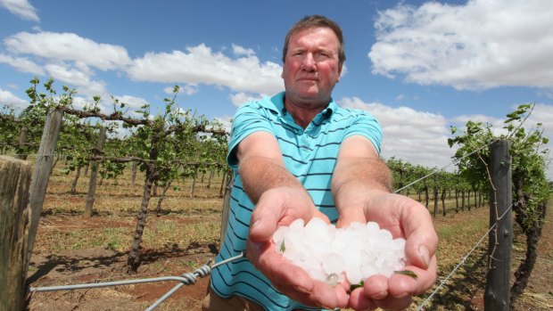 Kevin Leach pictured at his family property with devastated crops.