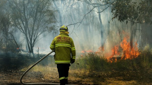 A firefighter on Charles Street, Abermain, on Tuesday. 