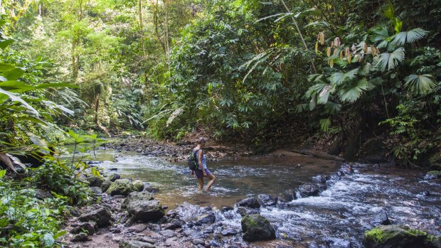 Costa Rica's Corcovado National Park is home to 2.5 per cent of the world's biodiversity.