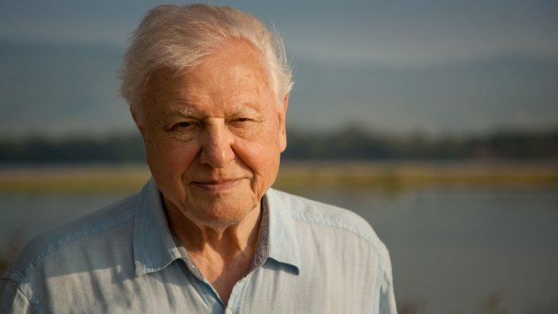 Sir David Attenbourgh on location in Mana Pools National Park, Zimbabwe.
