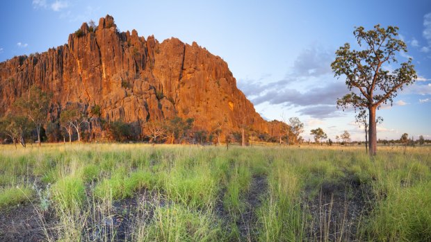 Windjana Gorge along the Gibb River Road, the Kimberley, Western Australia.