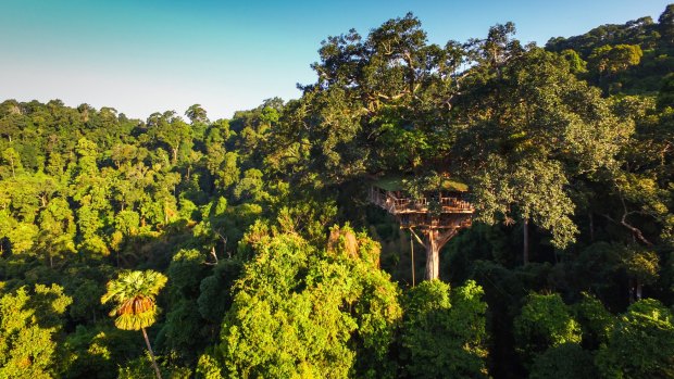 The Gibbon Experience gives travellers a chance to zip line into tree houses where they stay in the hopes of glimpsing wildlife.