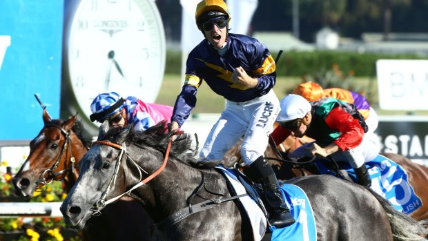 Tommy Berry rides Chautauqua to victory in the TJ Smith Stakes at Randwick on Saturday.