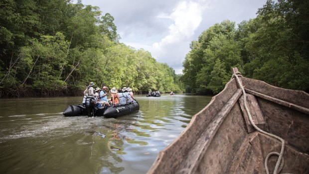 与银海一起探索亚马逊河。
