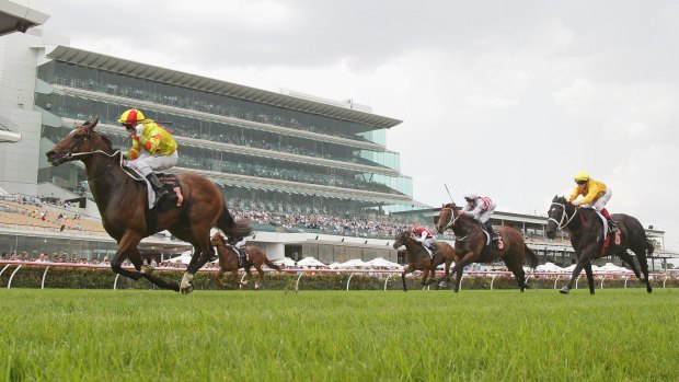 The greatest? Craig Newitt rides Lankan Rupee to victory on Black Caviar Lightning Stakes Day.