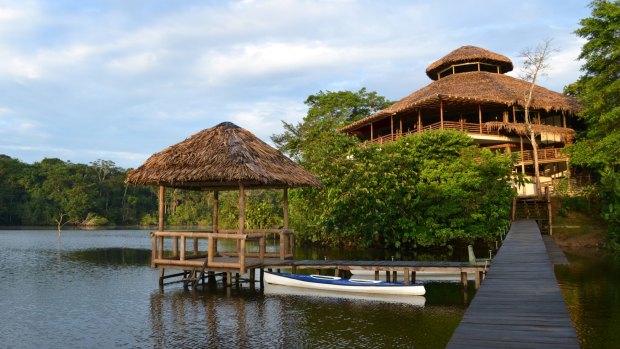 La Selva Amazon Lodge, Ecuadorean Amazon, South America.