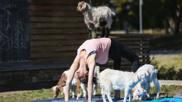 Yoga teacher Tanya Savva from Glenfield kidding around.