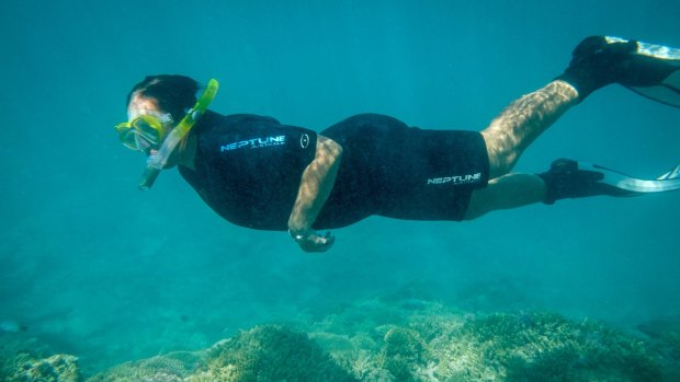 Coral bleaching is a serious threat to the whole Great Barrier Reef and the tourism industry.