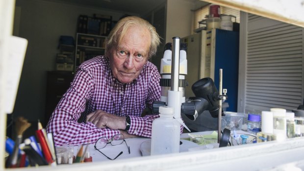 Canberra entomologist Dr Philip Spradbery in his laboratory in Yarralumla.