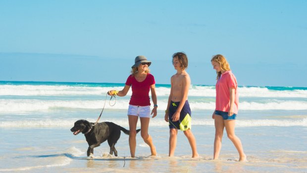 Visitors of the two-legged and four-legged variety can enjoy long beach walks when staying at Dongarra Tourist Park WA.