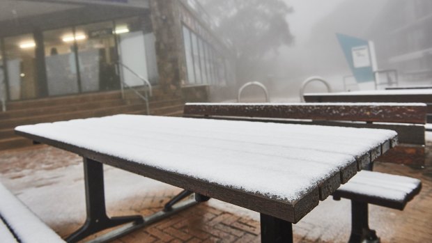 Snow has started to fall at Mount Buller.