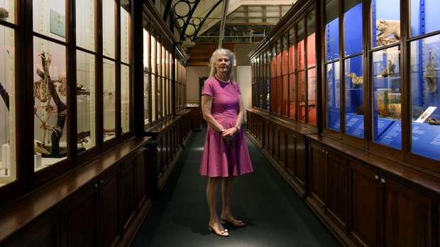 Architect and arts patron Penelope Seidler donated $750,000 to Sydney University in May, but she is angered by plans to close the university's art school at Callan Park.