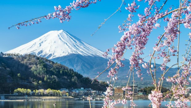 Mt Fuji, Japan during Cherry Blossom season.